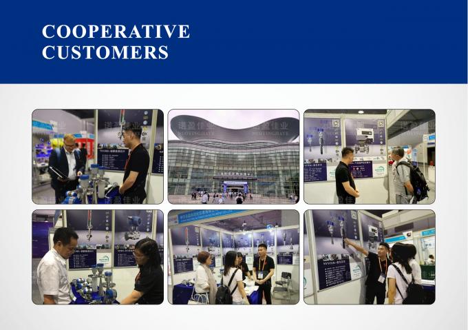 Tipo de sonda del medidor de densidad para mediciones precisas 3