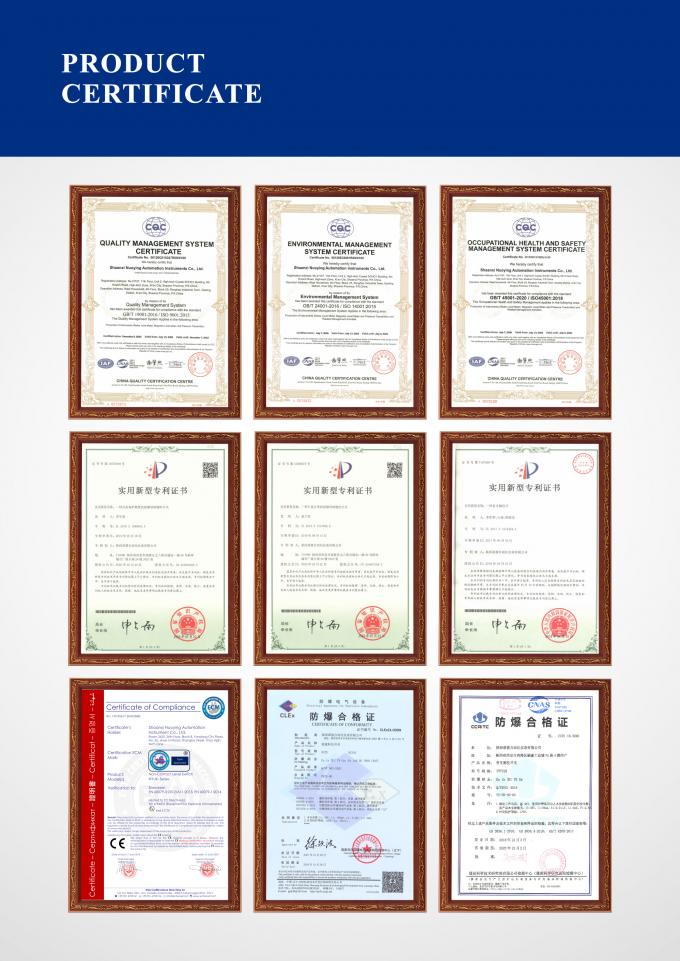 Interruptor de nivel capacitivo de RF para medición de líquidos 7