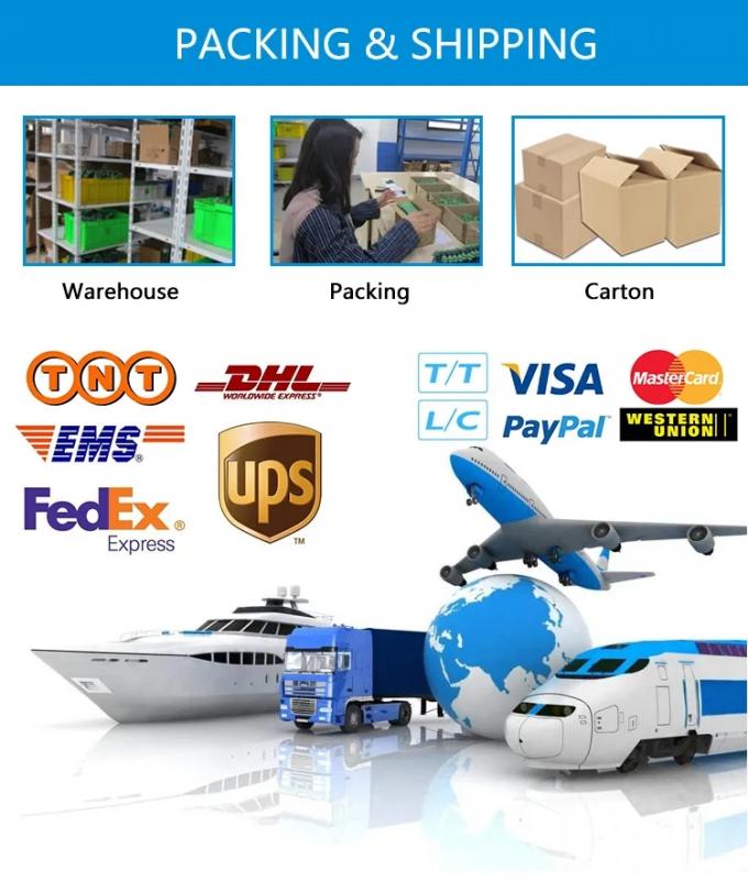 Pt1000 Pt1000 Pt100 RTD termómetro industrial de vapor Temperatura digital Proba de termopares Sensor de temperatura Transductor transmisor 4