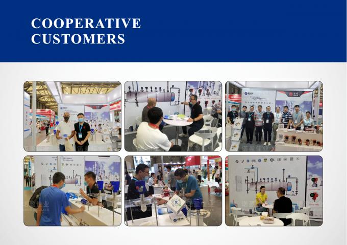Pt1000 Pt1000 Pt100 RTD termómetro industrial de vapor Temperatura digital Proba de termopares Sensor de temperatura Transductor transmisor 8