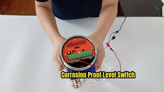 Interruptor de nivel de diapasón Hastelloy C para productos químicos agresivos